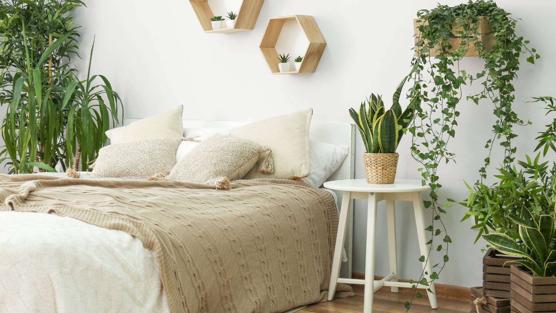 Biophilic decluttering? Your buyers will love it!